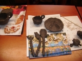 The Butterfly Restaurant 8