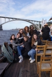 miniaturka zdjęcia 22