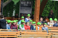 miniaturka zdjęcia 6