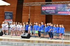 miniaturka zdjęcia 13