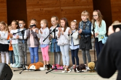 miniaturka zdjęcia 28