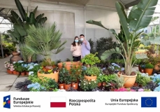 miniaturka zdjęcia 1